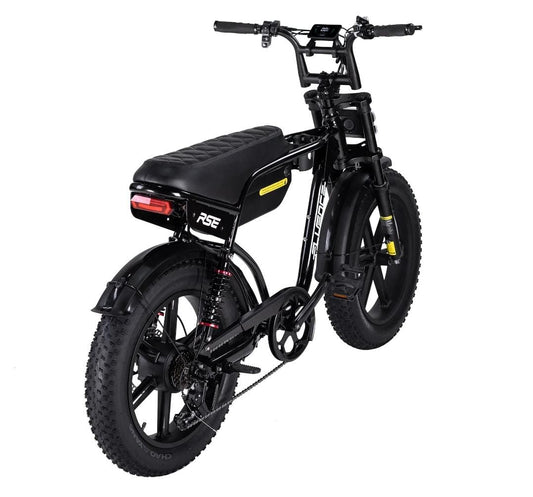 Bici Elettrica 1000W RSE Italy
