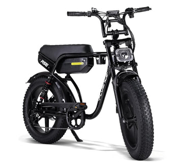 Bici Elettrica 1000W RSE Italy